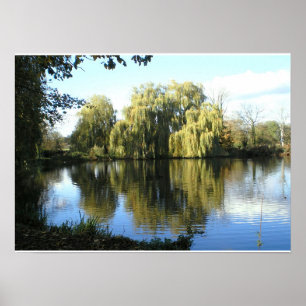 Weinende Weide durch den See Poster