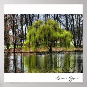 Weinende Weide Poster