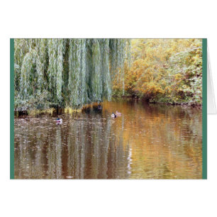 Weinende Weide-Reflexion