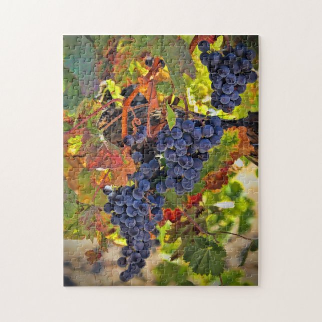 Weinernte Trauben Herbstfarben Puzzle (Vertikal)