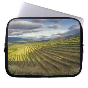 Weingarten. Napa Valley. Napa. Napa County, Laptopschutzhülle