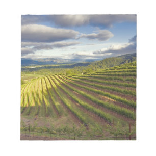 Weingarten. Napa Valley. Napa. Napa County, Notizblock