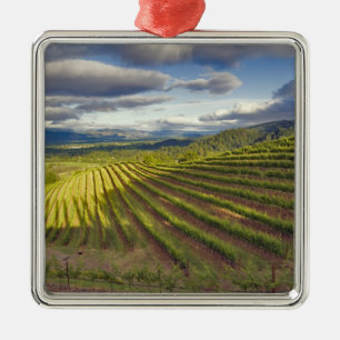 Weingarten. Napa Valley. Napa. Napa County, Ornament Aus Metall