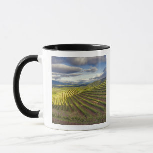 Weingarten. Napa Valley. Napa. Napa County, Tasse
