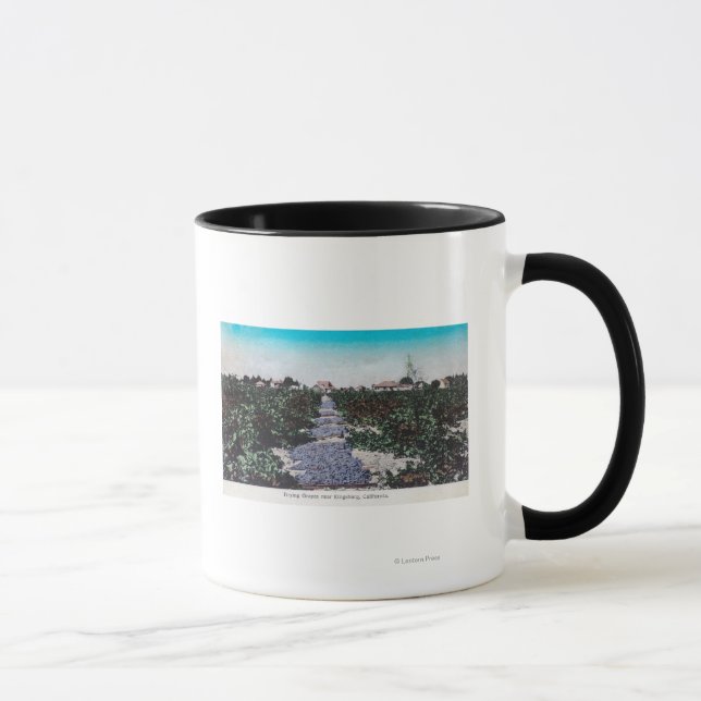 Weingarten Szene der Trauben TrocknenKingsburg, CA Tasse (Rechts)