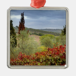 Weingut bei Montalcino, Toskana, Italien Ornament Aus Metall