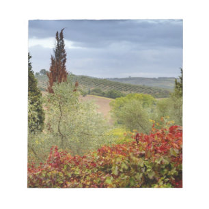 Weingut in der Nähe von Montalcino, Toskana, Itali Notizblock