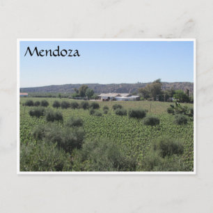 Weingut Mendoza Postkarte