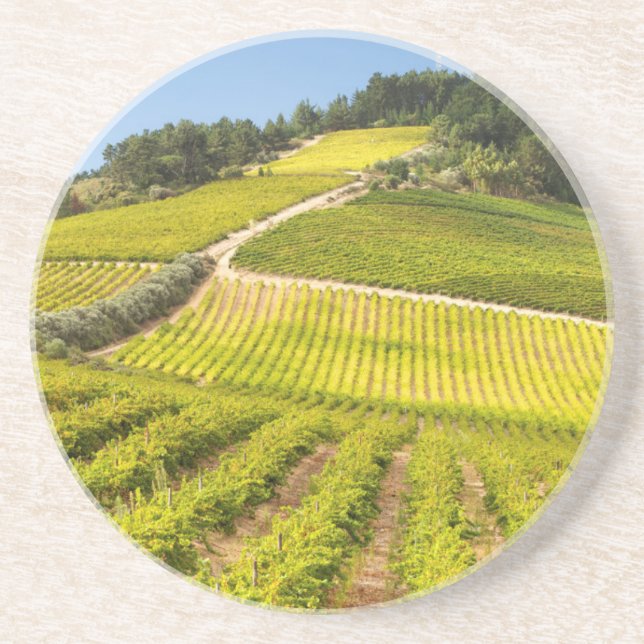 Weingut, Stellenbosch, Westkap Untersetzer (Vorne)