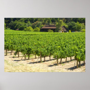 Weinkeller Napa Valley Weingut Weinberg Poster