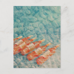 Weinkühlung 2010 postkarte