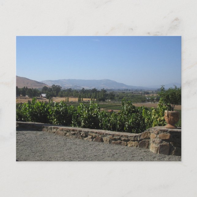 Weinland Postkarte (Vorderseite)