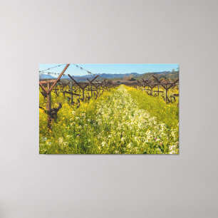 Weinlandfrühling Leinwanddruck