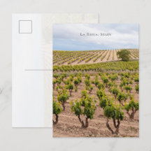 Weinlandschaft La Rioja, Spanien