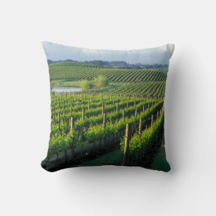 Weinreben in ordentlichen Reihen im Napa Valley in Kissen
