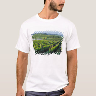 Weinreben in ordentlichen Reihen in Kaliforniens N T-Shirt