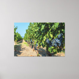 Weinreben Leinwanddruck