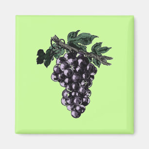 Weinreben Magnet