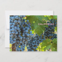 Weinreben Postkarte