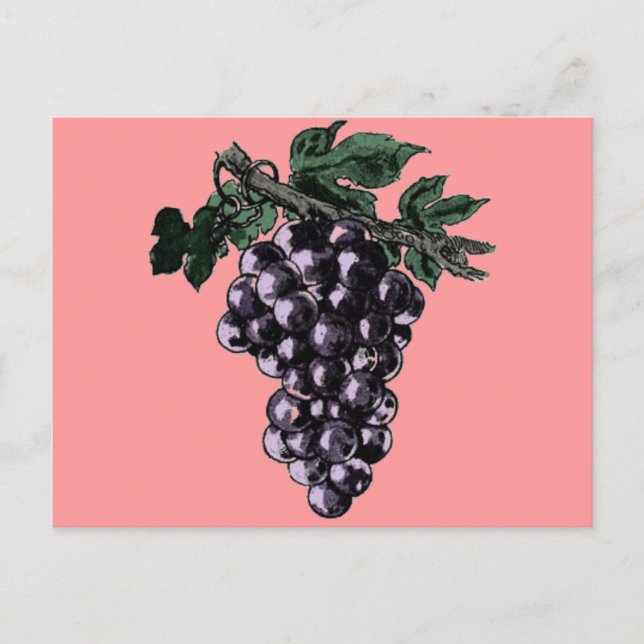 Weinreben Postkarte (Vorderseite)