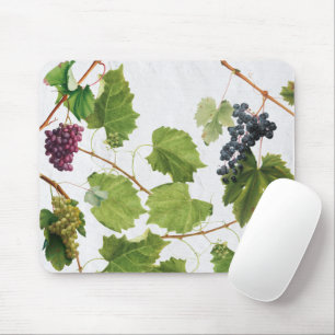 Weinreben Weinberg Mittelmeer griechische Insel Mousepad