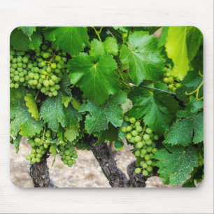 Weinrebenanbau, Frankreich Mousepad
