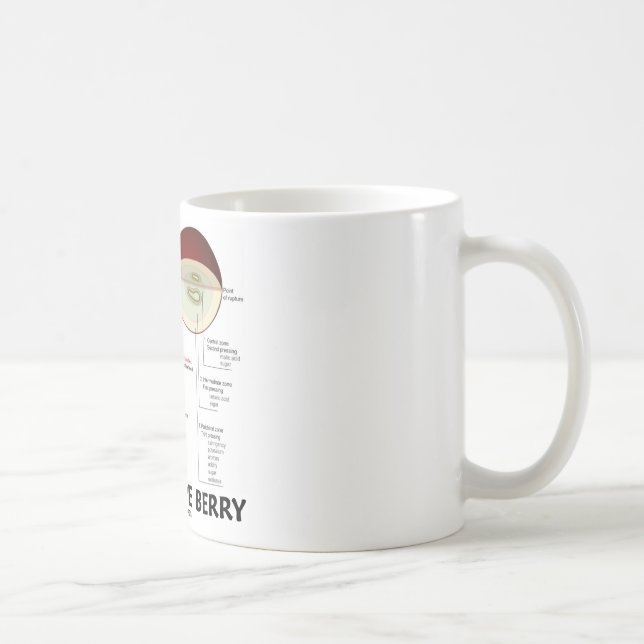Weintraube-Beere (Anatomie) Kaffeetasse (Rechts)