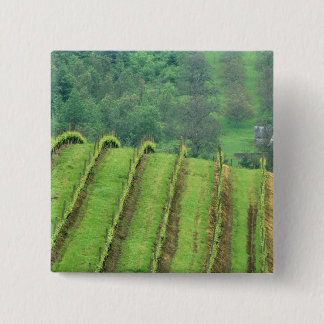 Weintrauben bei Newberg Oregon Button