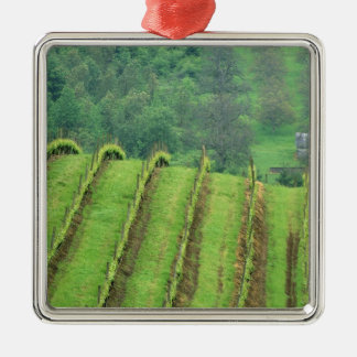 Weintrauben bei Newberg Oregon Ornament Aus Metall