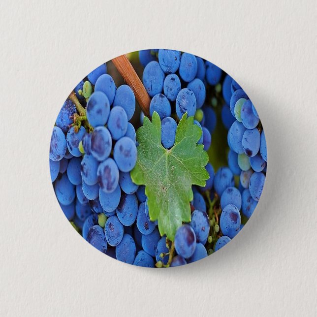 Weintrauben Button (Vorderseite)