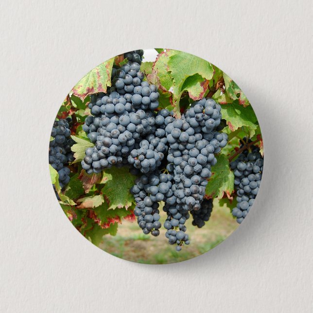 Weintrauben Button (Vorderseite)