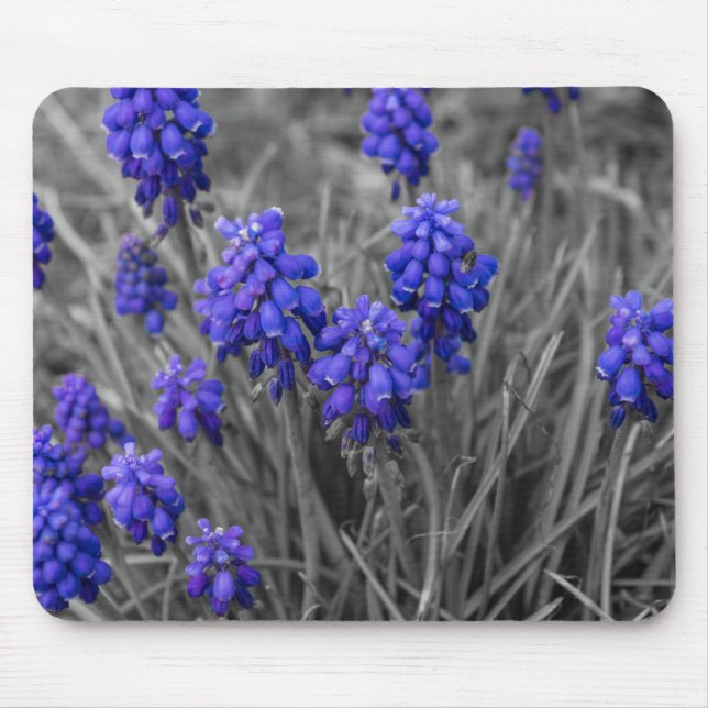 Weintrauben - Hyazinthen Mousepad (Vorne)