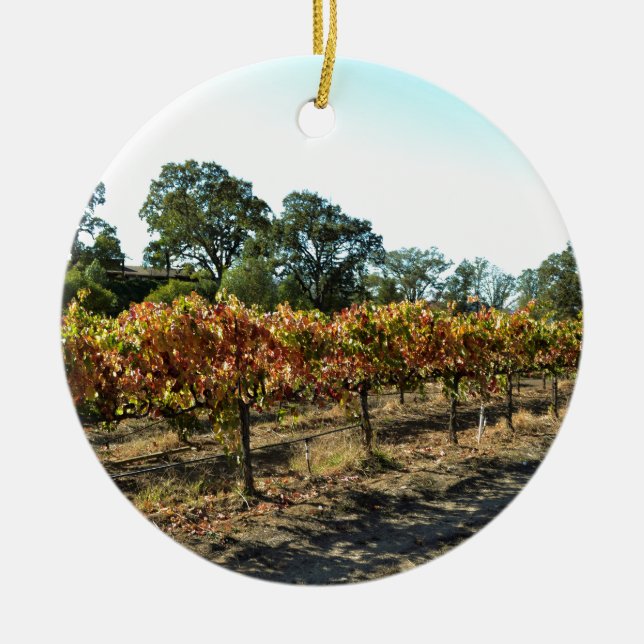 Weintrauben in Mendocino County, Kalifornien Keramikornament (Vorne)