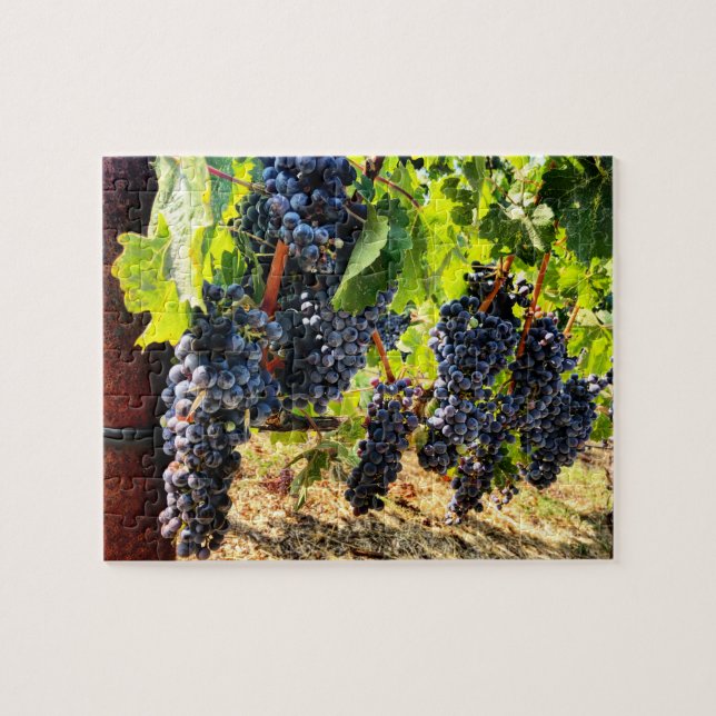 Weintrauben Jigsaw Puzzle (Horizontal)