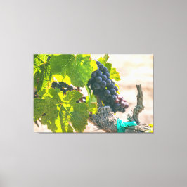 Weintrauben Leinwanddruck