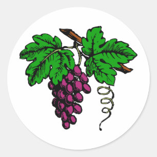 weintrauben rebe grapes vine runder aufkleber