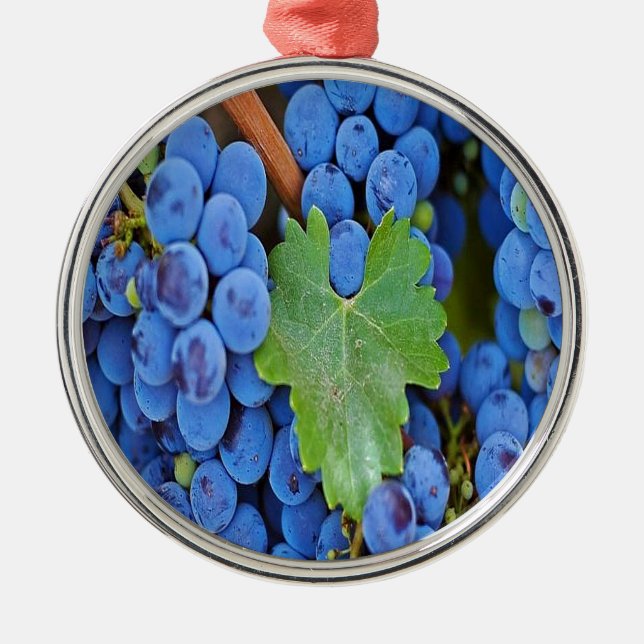 Weintrauben Silbernes Ornament (Vorne)