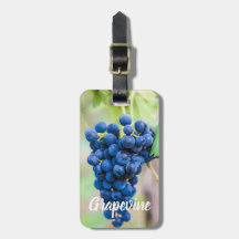 Weintrauben und Weinbaugeschenk