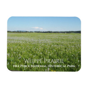 Weippe Prairie, Camas Blume, Nez Perce Magnet