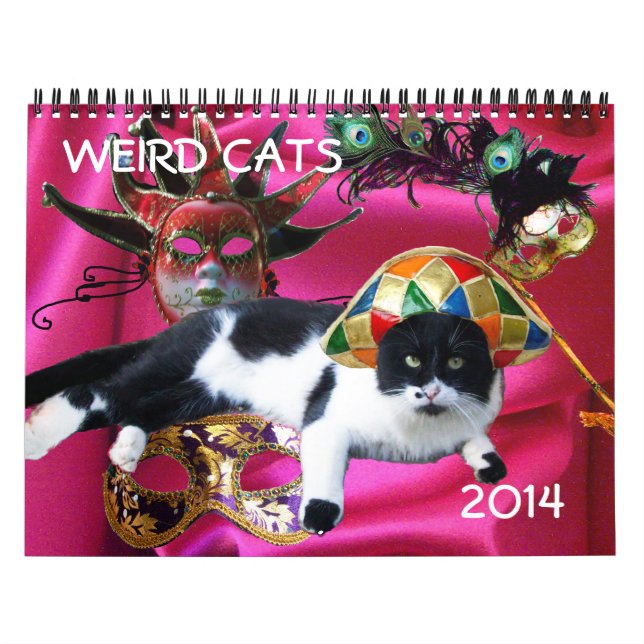 WEIRD CATS 2014 KALENDER (Titelbild)