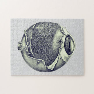 Weird Modern Vintage Eyeball Detail Drawing Gray