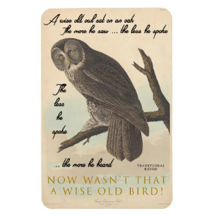 Weise alte Eule Magnet
