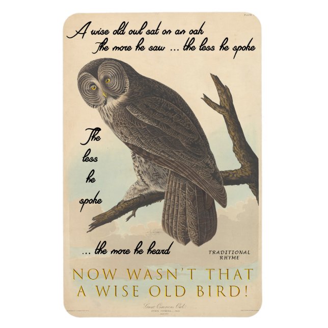 Weise alte Eule Magnet (Vertikal)