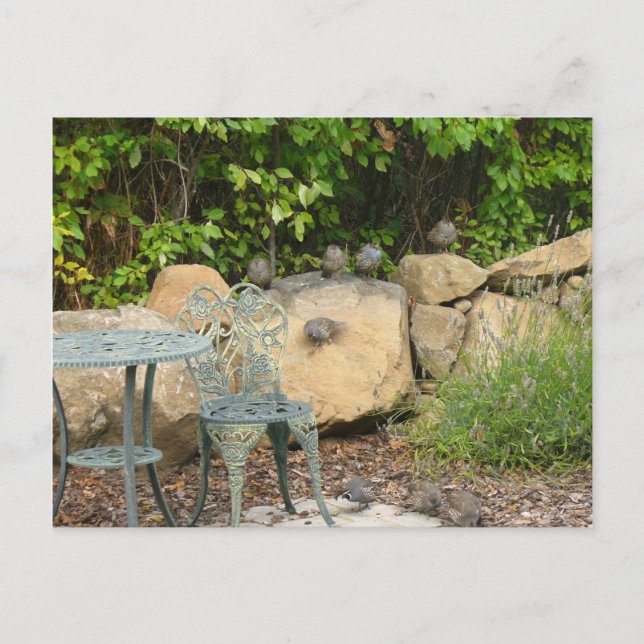 Weisen-Heu, bin ich kommende Postkarte (Vorderseite)