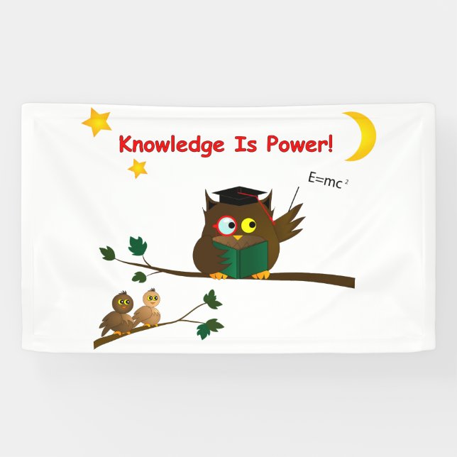 Weisen Owl lehren Banner (Horizontal)