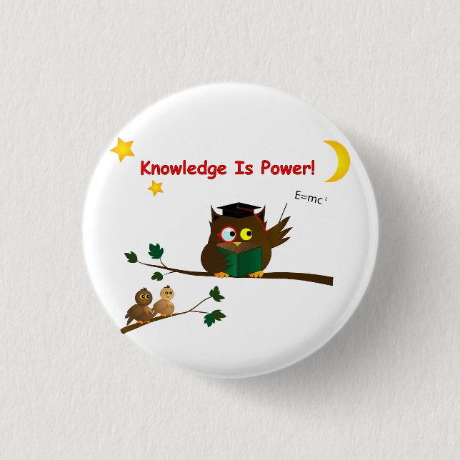 Weisen Owl lehren Button (Vorderseite)