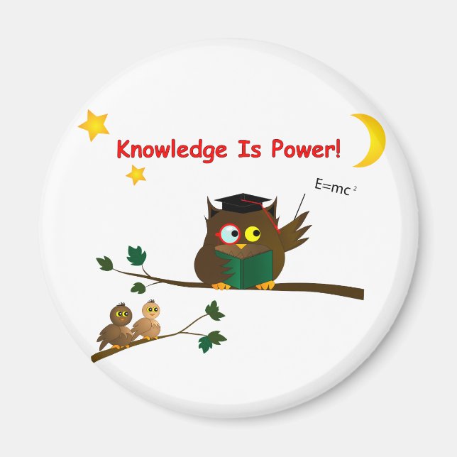 Weisen Owl lehren Magnet (Vorne)