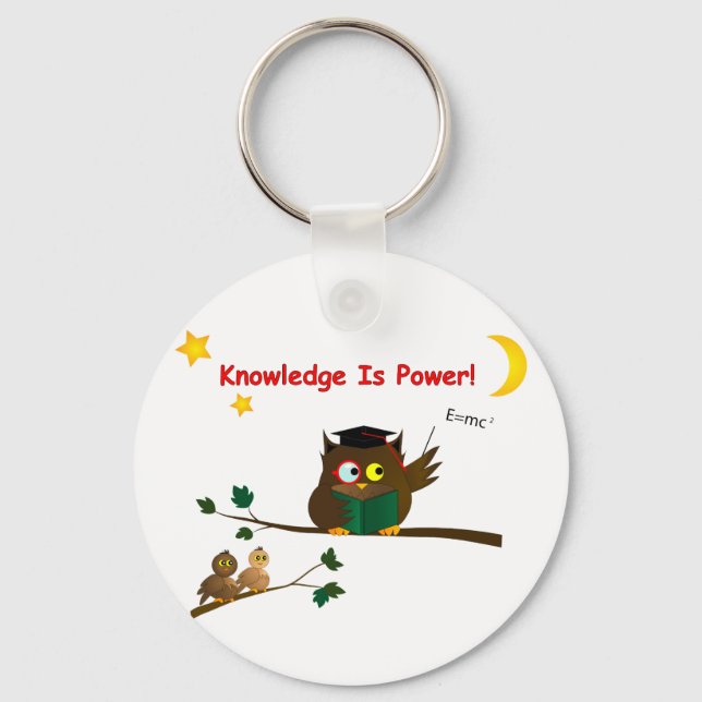 Weisen Owl lehren Schlüsselanhänger (Vorderseite)