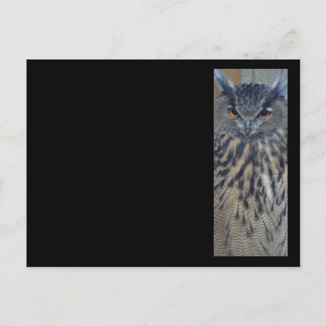 Weisen Postkarte (Vorderseite)