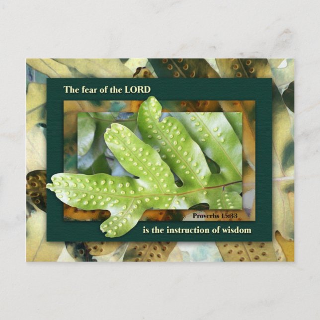 Weisheit vom Herrn Postkarte (Vorderseite)